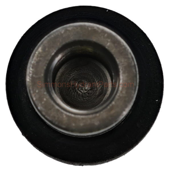 Internal view of the Simmons genuine 8842 plunger.